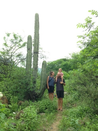 Big cactus.